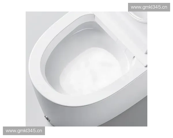 智能马桶使用说明详解帮助您全面掌握清洁舒适新体验